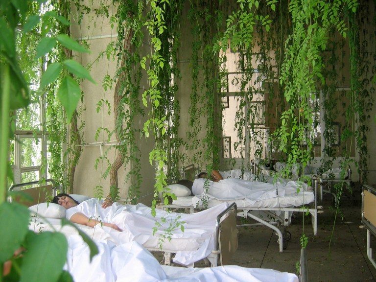 6394357719_3425337856_b